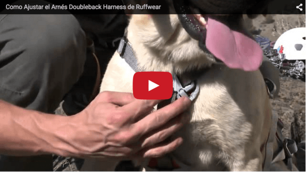 Arnés Para Perros DoubleBack™ Harness - Ruffwear México