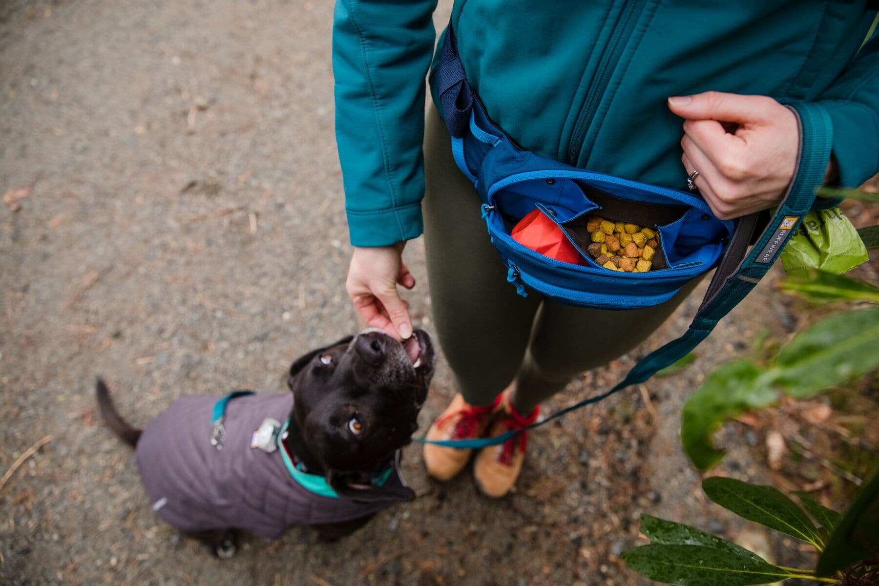 Home Trail® Hip Pack Azul Lunar de Ruffwear - Cangurera para Humanos con Perros