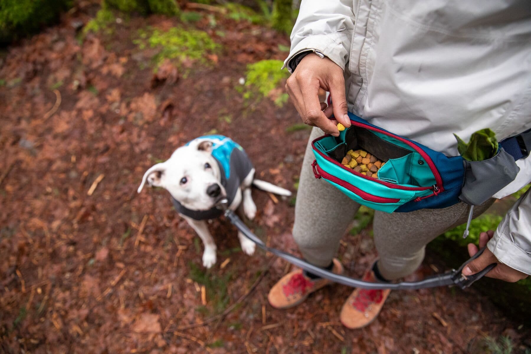 Home Trail® Hip Pack Aqua de Ruffwear - Cangurera para Humanos con Perros