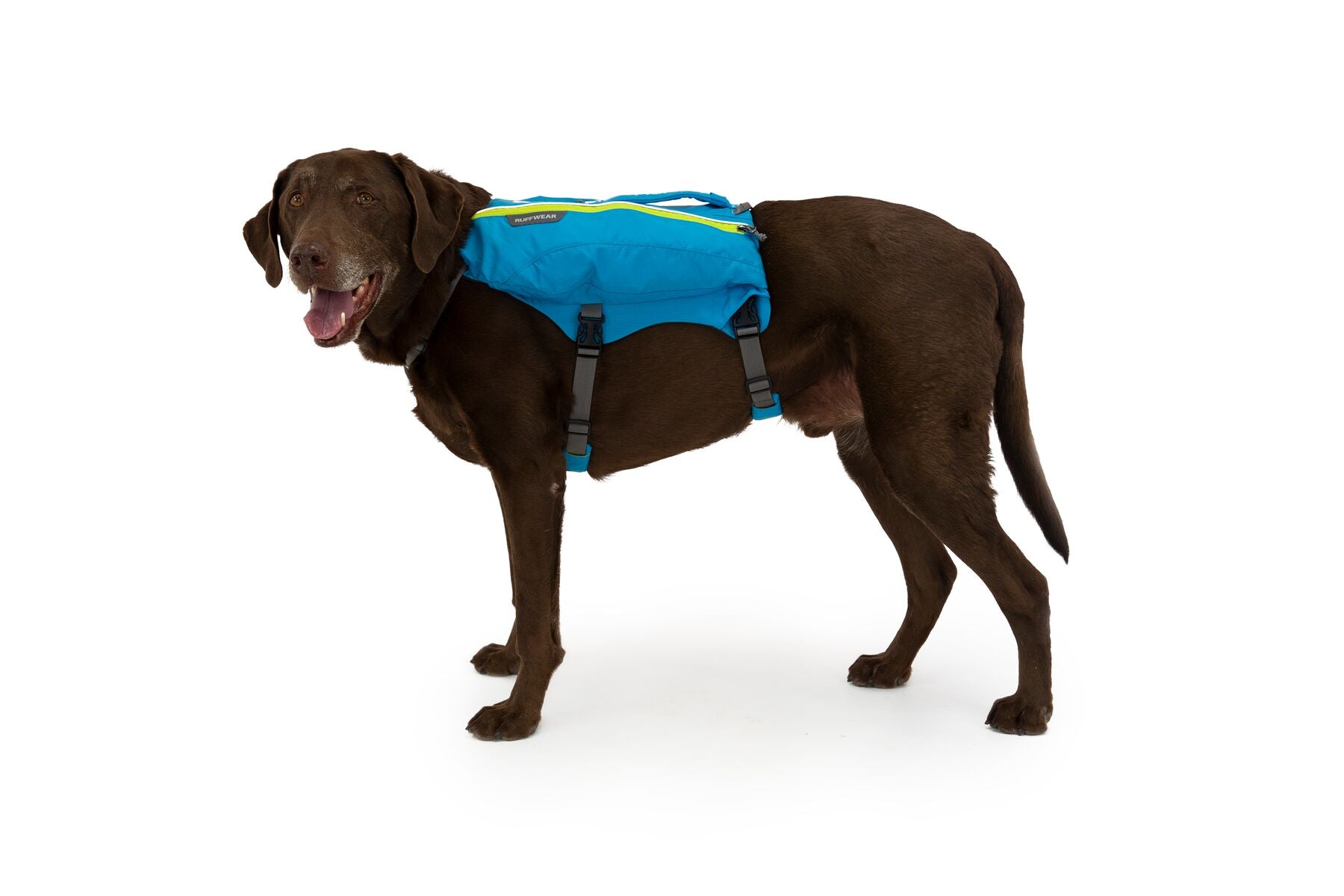 Alforja para Perros para Hidratación Singletrak Pack® Azul - Ruffwear