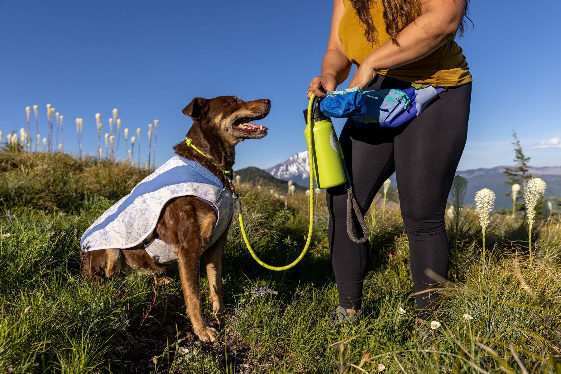 Home Trail® Hip Pack Purpura de Ruffwear - Cangurera para Humanos con Perros