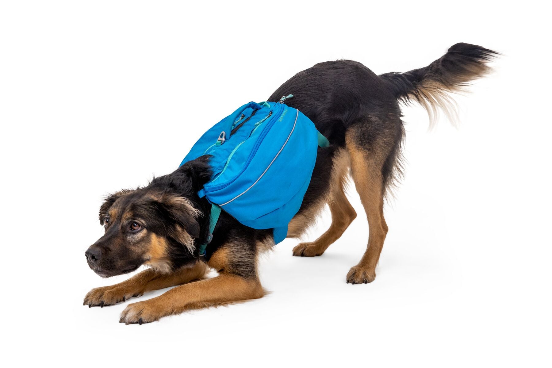 Alforja para Perros Approach Pack en Azul (Blue Dusk) de Ruffwear
