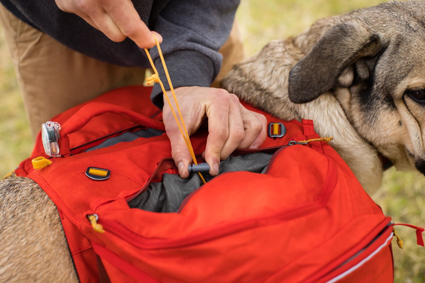 2 en 1 Alforja de Hidratación & Pechera para Perros Palisades Backpack de Ruffwear