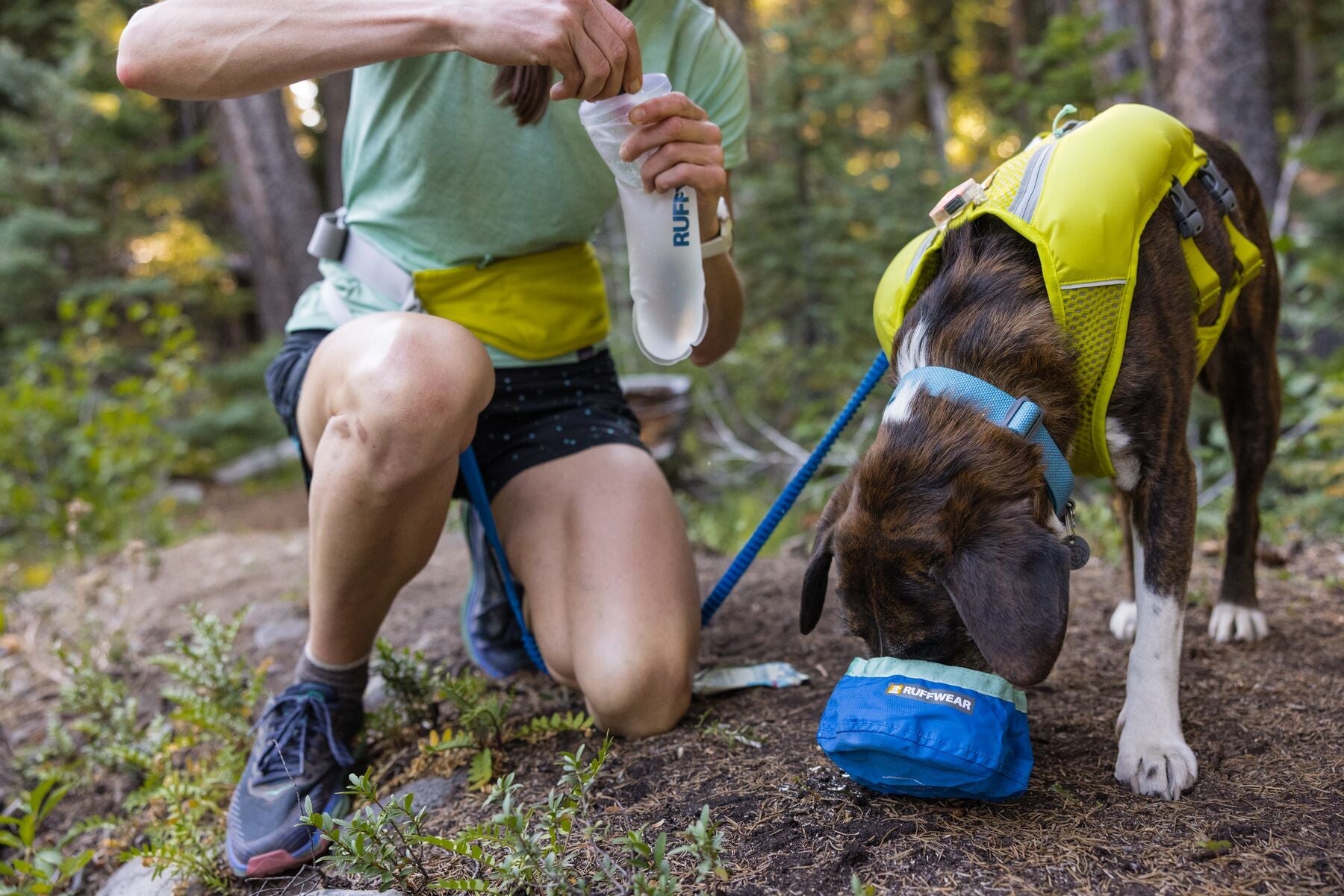 Chaleco para Perros Trail Runner Running Vest en Amarillo Fosfo (Lichen Green) de Ruffwear