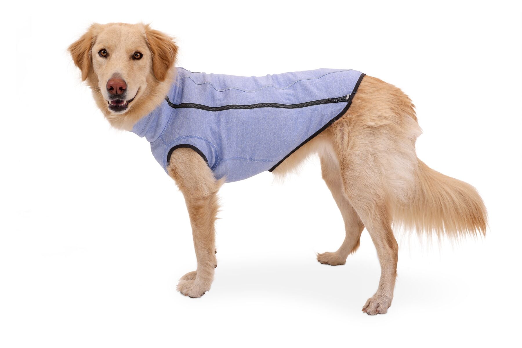 Hemp Hound Suéter de Punto para Perros en Azul Piedra (Slate Blue) de Ruffwear