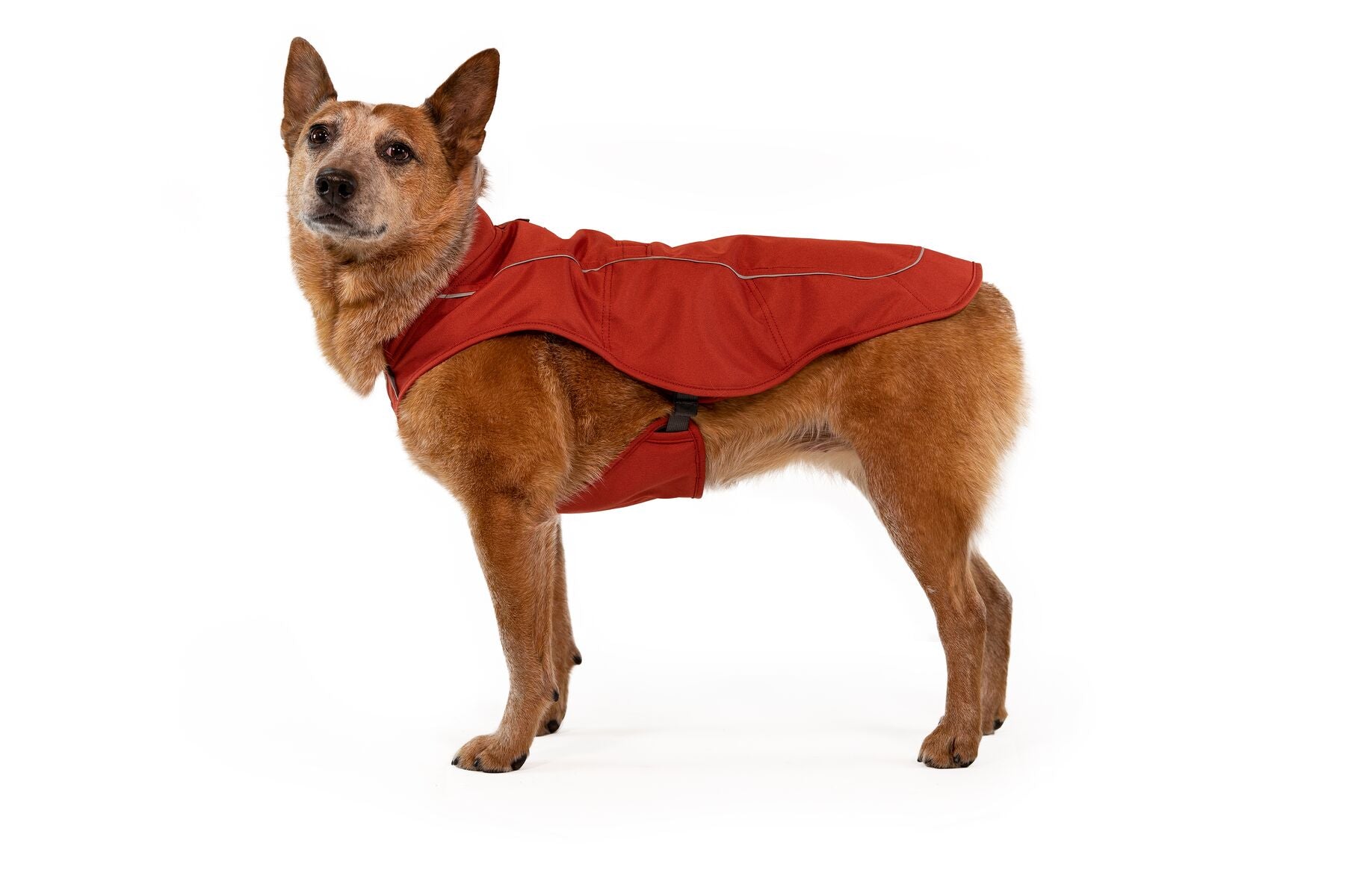 Abrigo para Perro K-9 Overcoat™ en Rojo Arcilla (Red Clay) de Ruffwear®