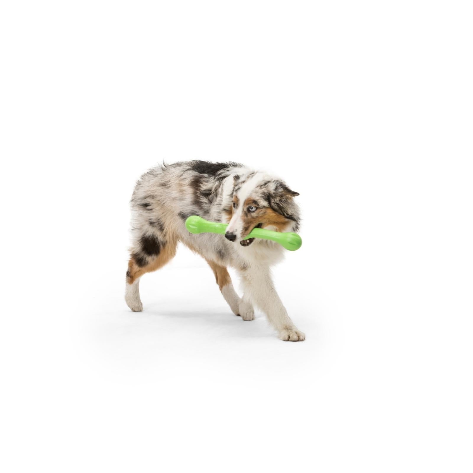ZWIG de West Paw® color Verde - Rama Suave de Juguete para Perros