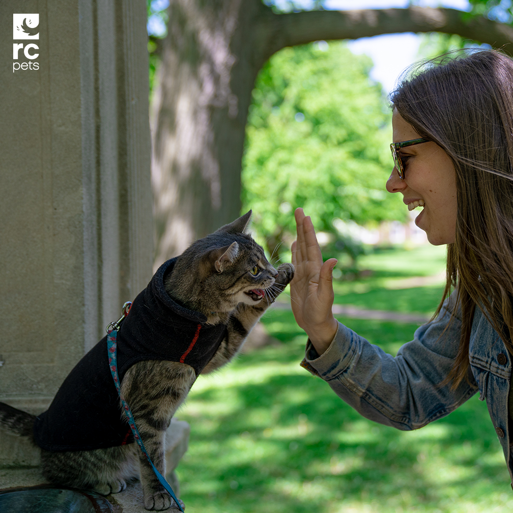 Suéter Polar de Felpa Ligero en color Negro