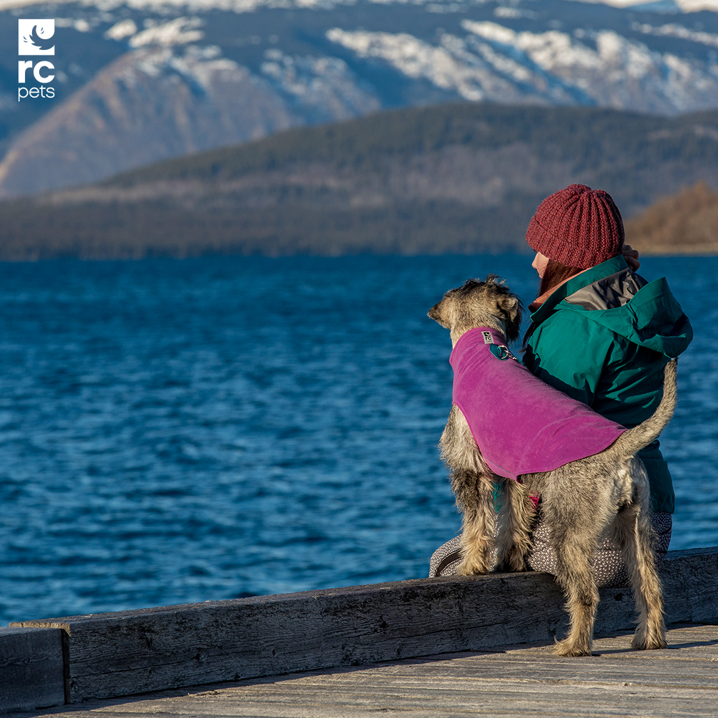 Suéter Polar de Felpa Ligero en color Negro