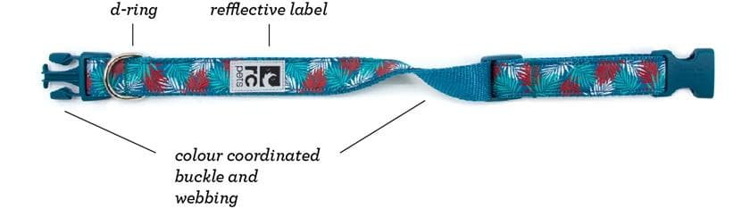 Clip Collar Modelo Vector - Collar para Perros Vector