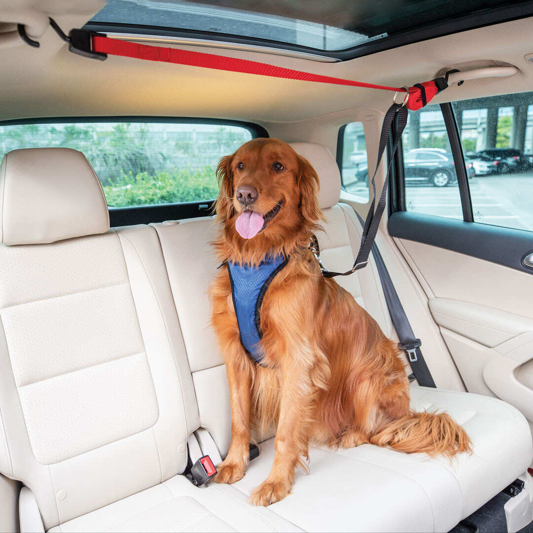 Línea de Seguridad Para Perros para el Carro - Happy Ride Dog Zipline de Petsafe