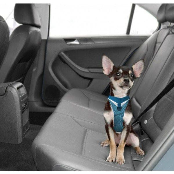 Pechera Azul para Perro de Aventura - Go-Tech Adventure Harness de Kurgo®