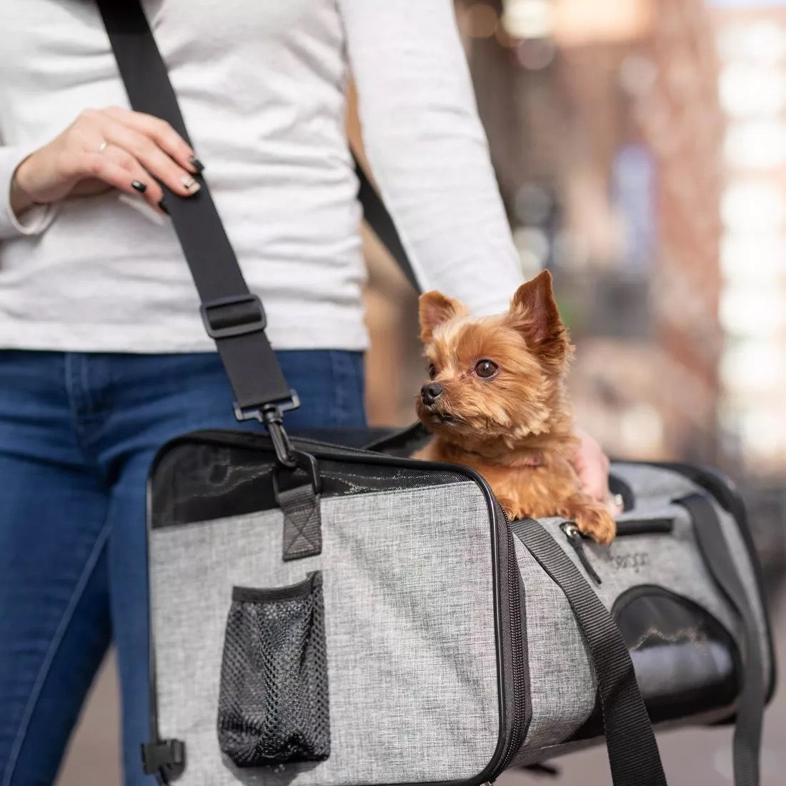 Transportadora y Silla Elevada Booster para Perros en Color Gris - Booster Pet Carrier de Bergan