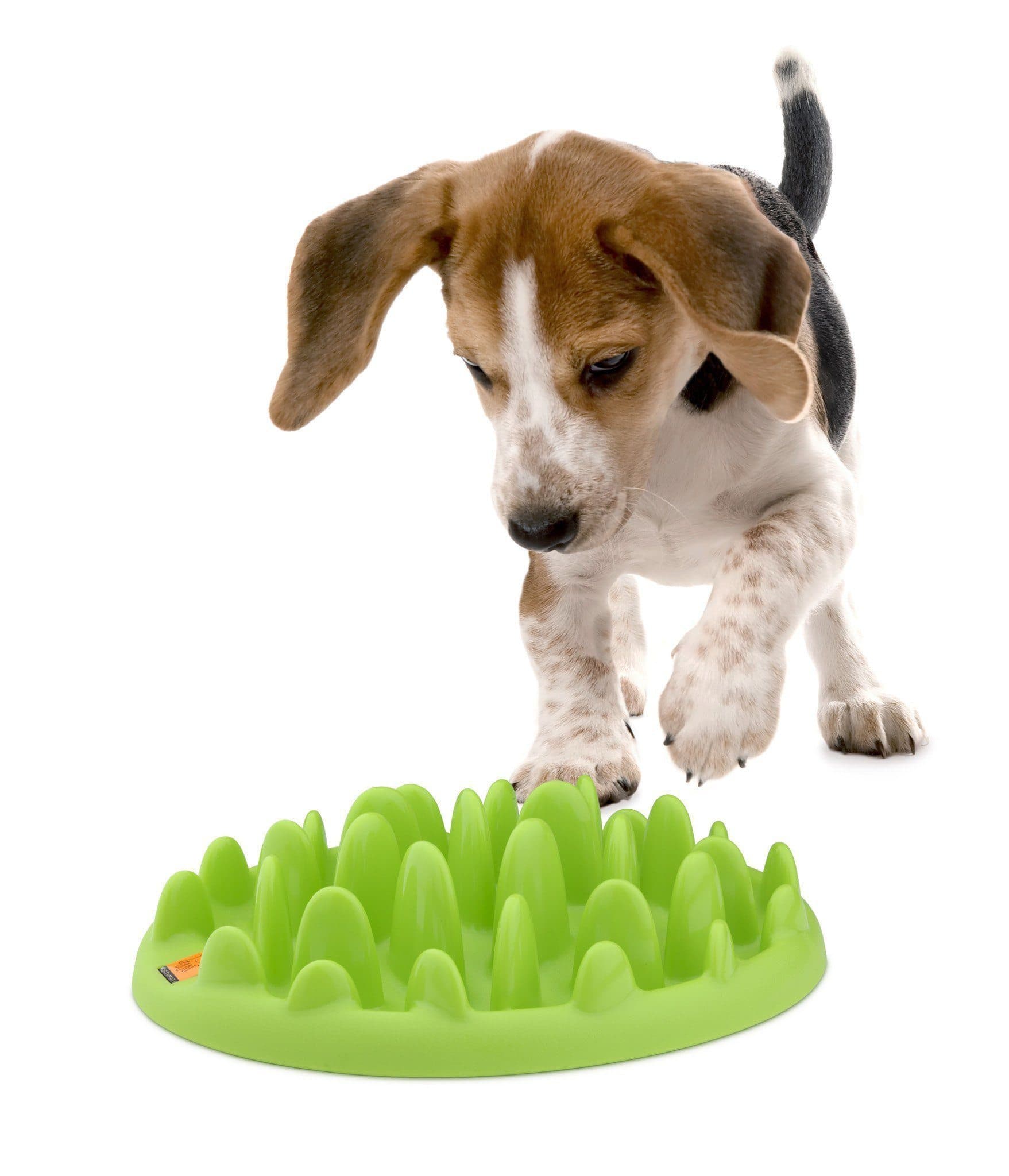 Mini Plato Green Feeder para comer despacio-Perros Chicos o Cachorros