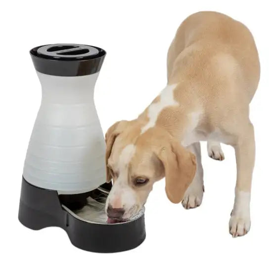 Healthy Pet Water Station -Dispensador de Agua para Perros y Gatos