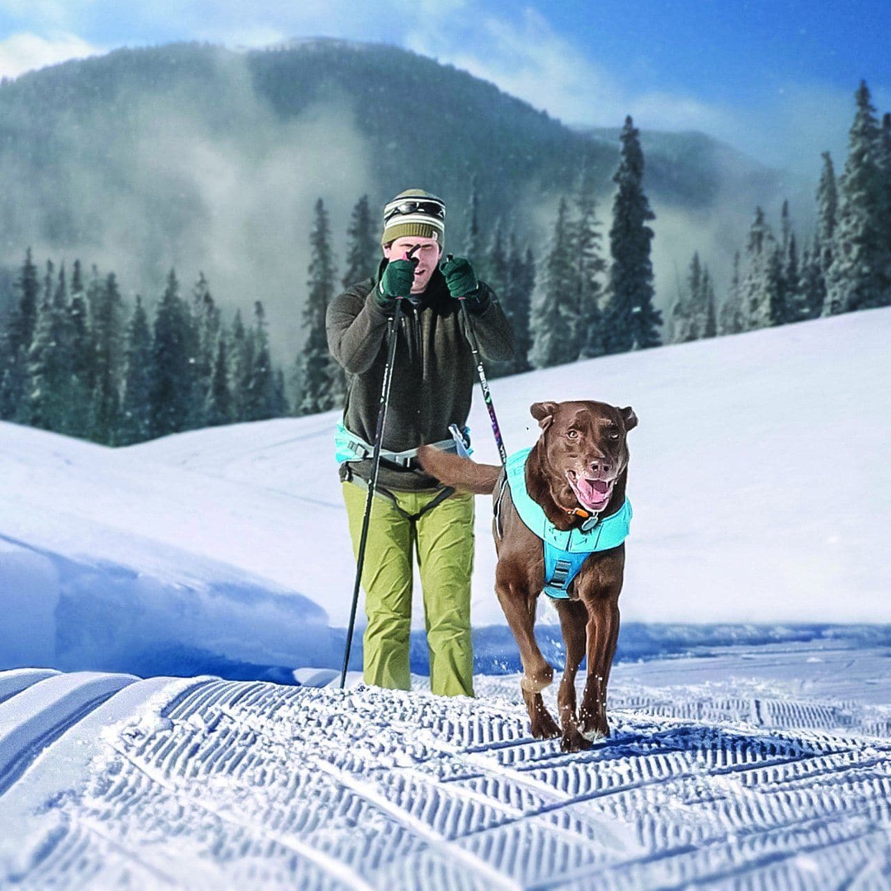 Kurgo On Trail Running - Cinturón de correr para perros con manos libres,  ajustable, reflectante, para correr y senderismo, incluye botella de agua  de