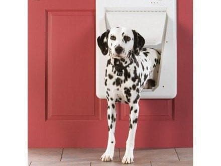 Puerta Inteligente para Perros Modelo SmartDoor de PetSafe® (Y