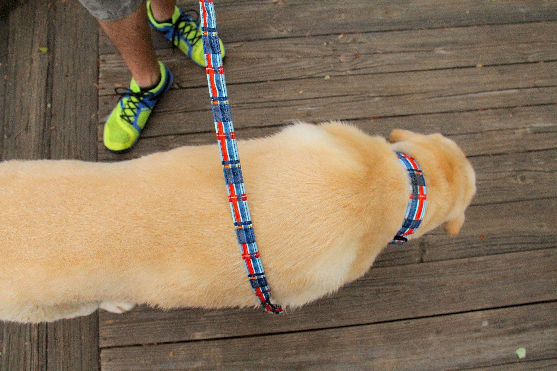 Collar Dublin Dog EcoLuck Hamptons Harbor - Collar para Perro
