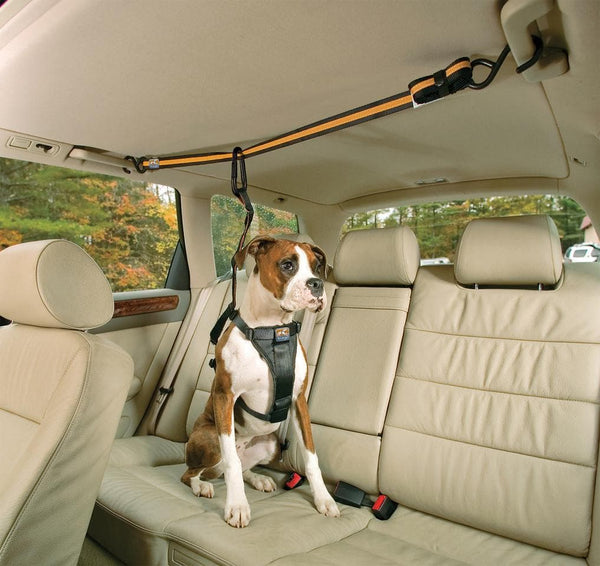 Cinturón De Seguridad Para Perros En Coche EZYDOG Click - Ajustable, Universal, Para Usar Con Arnés
