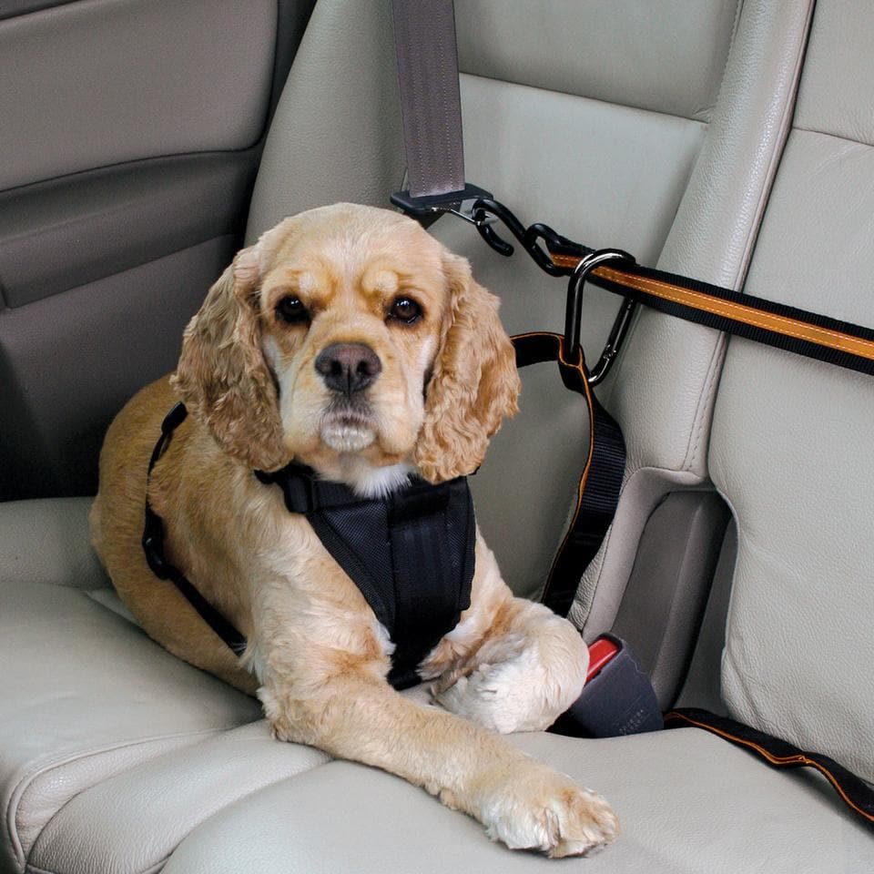 Fancigo Juego de 3 cinturones de seguridad ajustables para perros.  Accesorios de viaje en coche para cachorros/perro/mascotas. Tela de nailon  fuerte