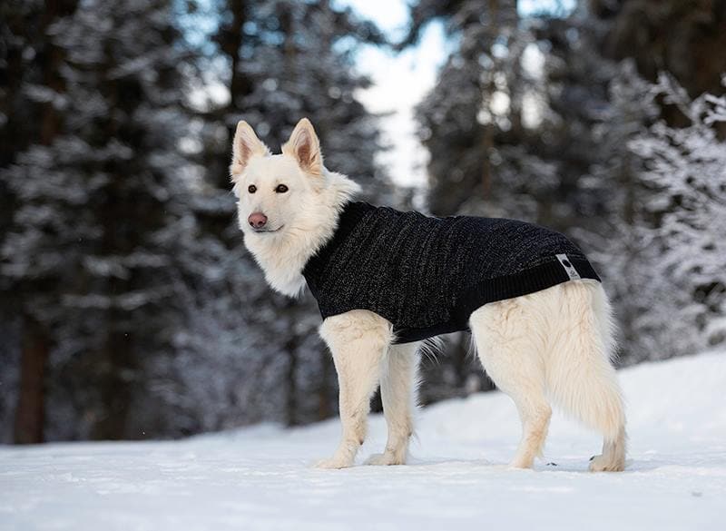 Suéter Super Reflejante para Perros en Negro