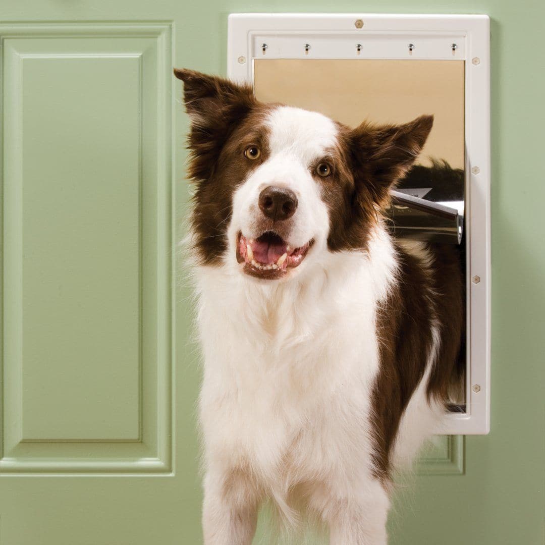 Puerta de Plastico para Perros Modelo Plastic Pet Doors de PetSafe®
