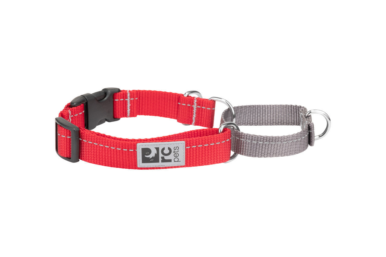 Primary Web Training Clip Collar Rojo c/Reflejante para Perros de RC Pets