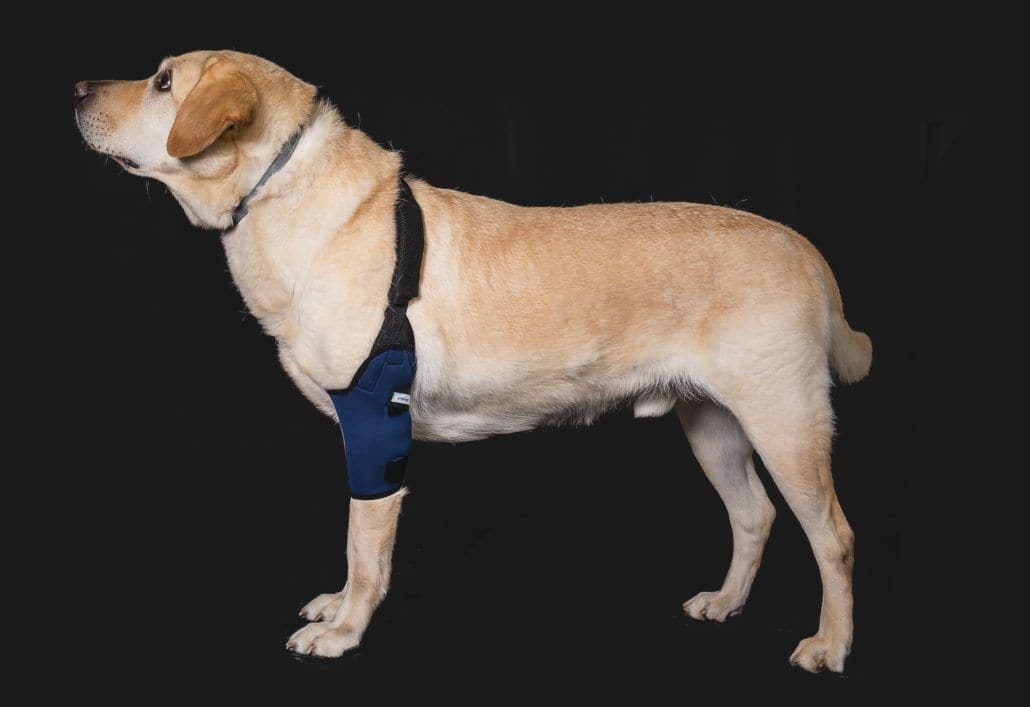 Coderas para Perros - Protector de Codo para Perros