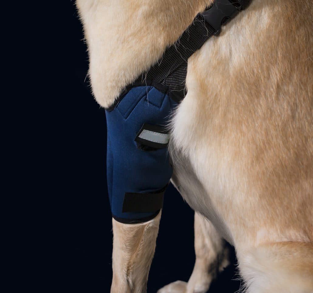 Coderas para Perros - Protector de Codo para Perros