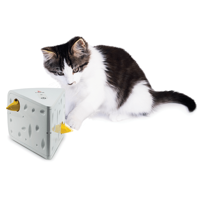 Queso de Juguete para gato, Cheese Cat Toy De Pet Safe