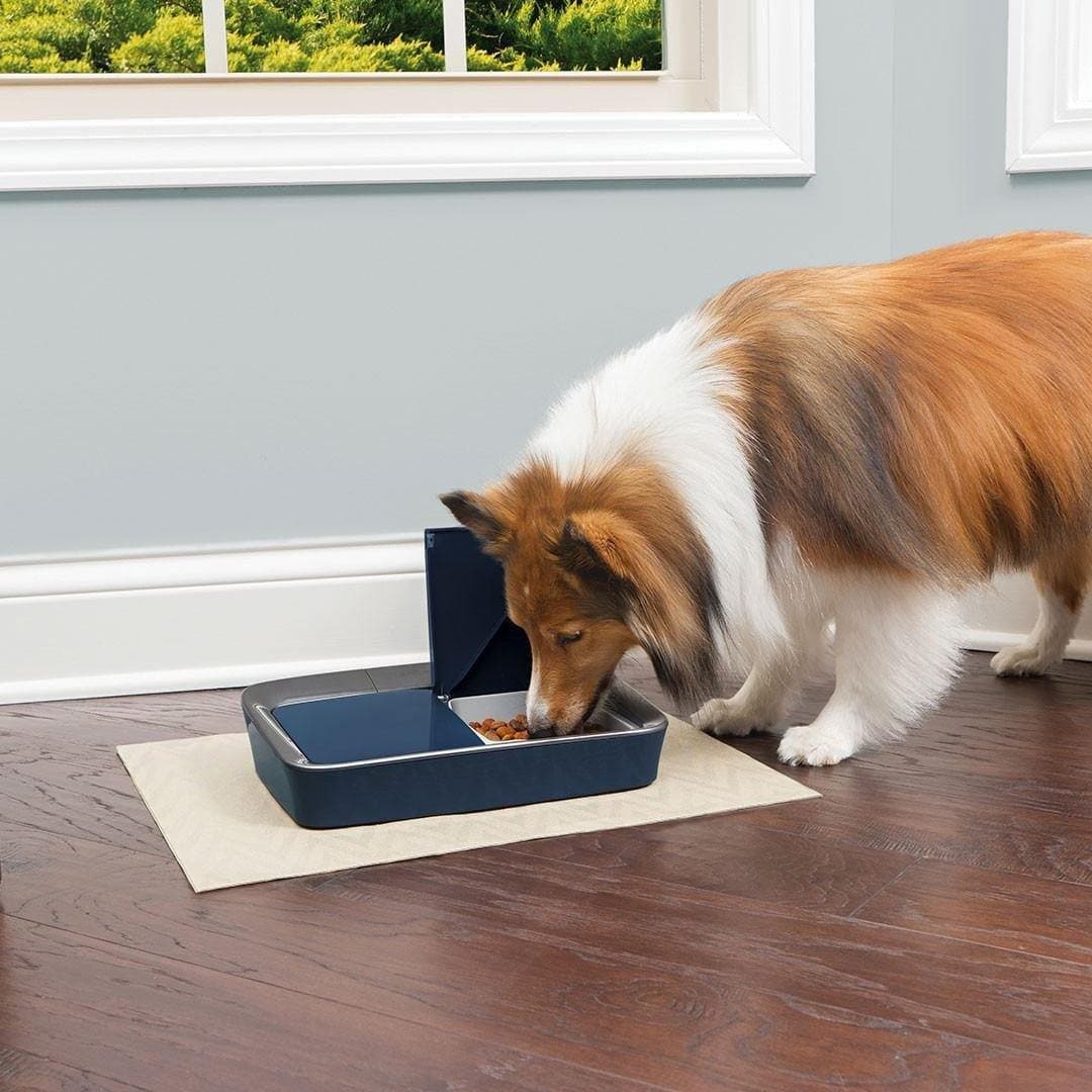 Digital 2-Meal Automatic Pet Feeder - Petsafe Comedero Digital para Mascotas de 2 Comidas