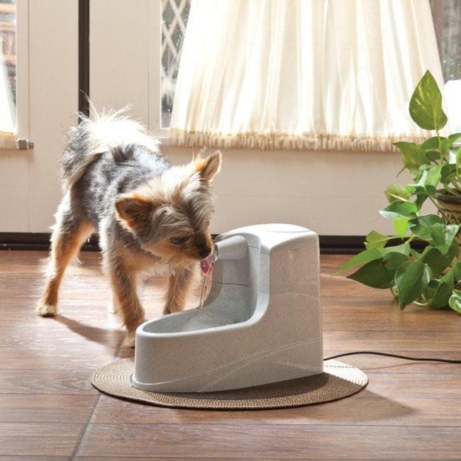 Drinkwell® Mini Fountain - Fuente de Agua Automática para Perros