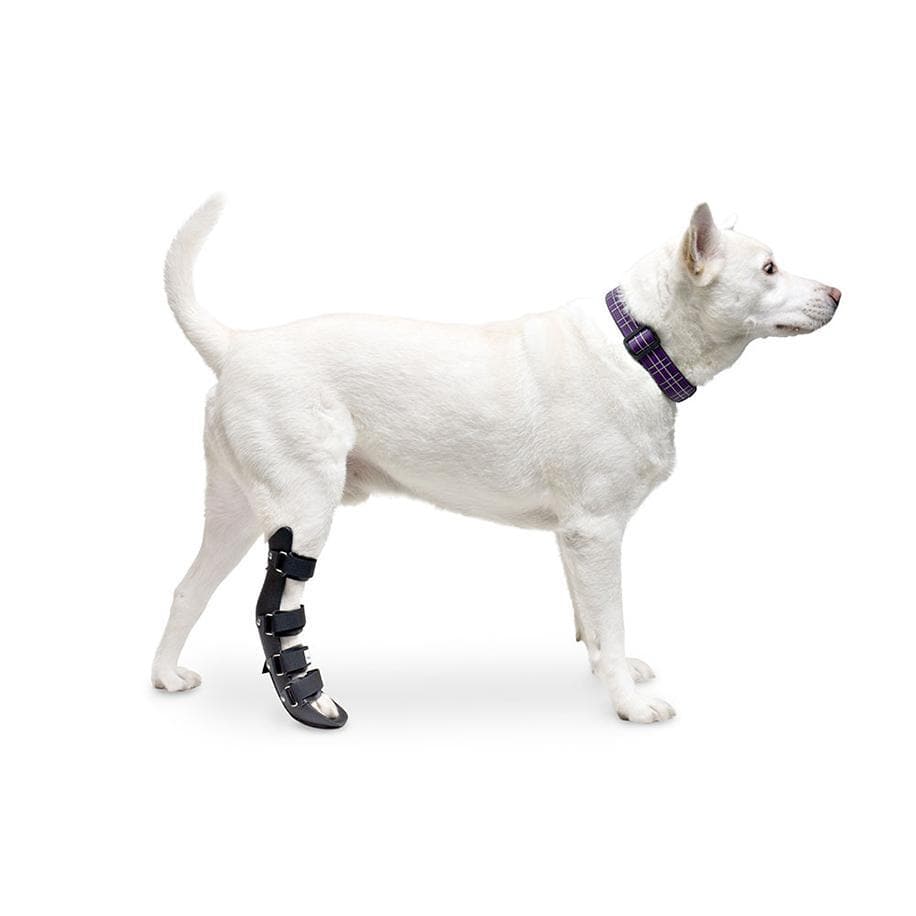 Ferula Pata Trasera Para Perro Walkin’ Rear Splint de Walkin' Pets