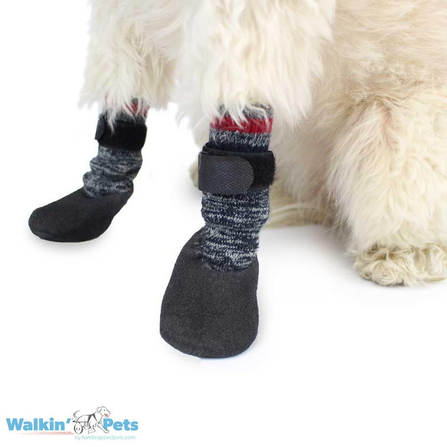 Calcetines Para Perro Walkin' Traction Socks de Walkin' Pets — La Tienda de  Frida & Chelsee