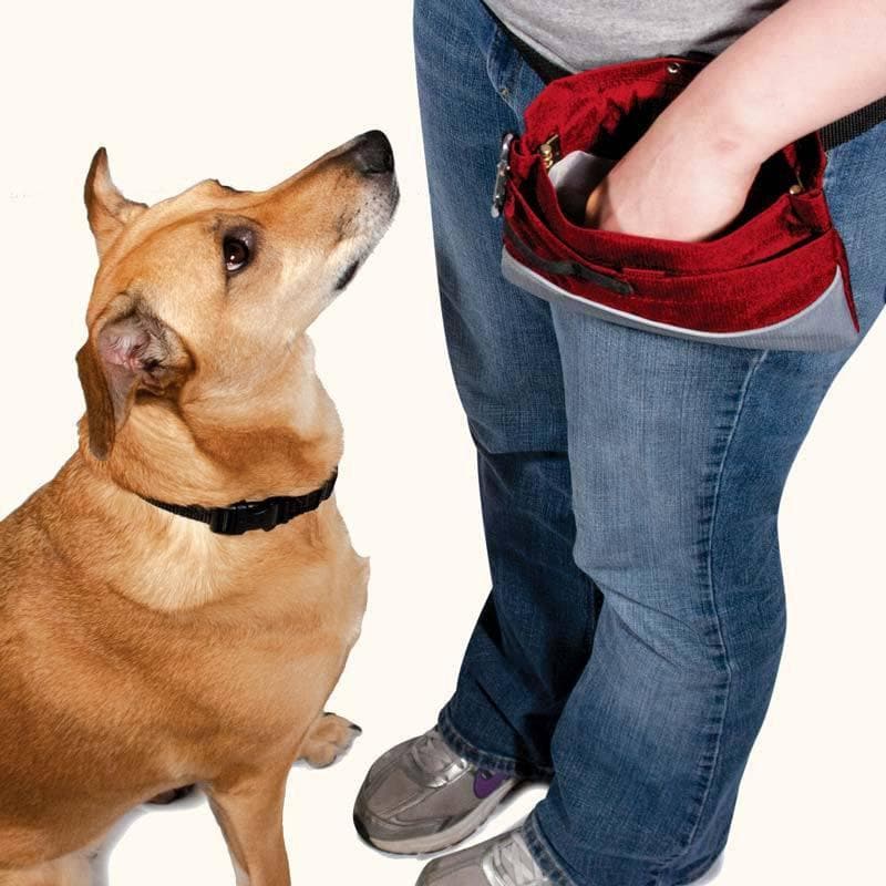 Treat Pouch Sport - Bolsa para Premios y Recompensas de PetSafe®