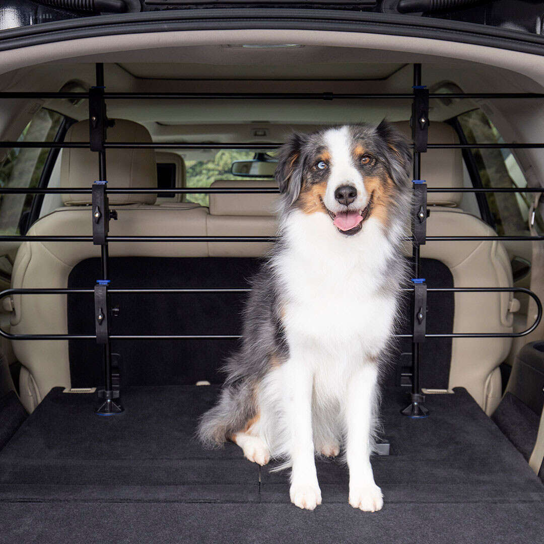 FEED GARDEN Barrera ajustable para automóvil para perros, SUV, automóviles,  vehículos, camiones, puerta divisora de mascotas de ajuste universal