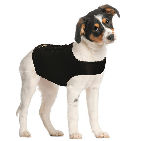Camiseta Calmante ZenDog® para Perros con Ansiedad - y post-quirúrgica